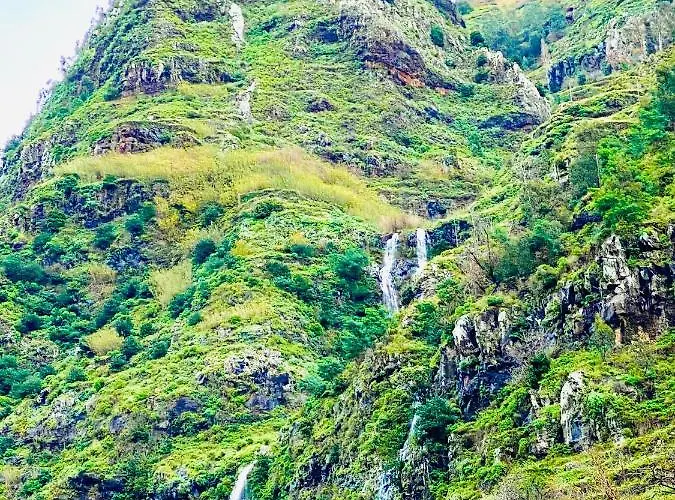 Гостевой дом Vale Mar Guest 3*